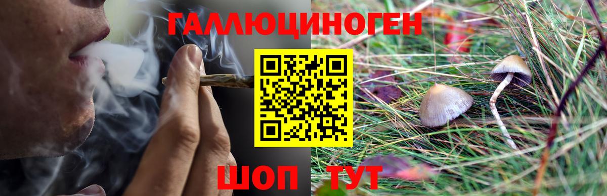 где найти наркотики  Вход с VPN  Иркутск  Псилоцибиновые грибы прущие грибы 